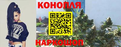 стафф Обнинск