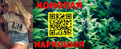 стафф Обнинск