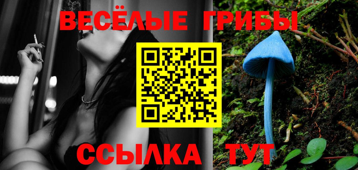 Псилоцибиновые грибы Psilocybe Ярцево