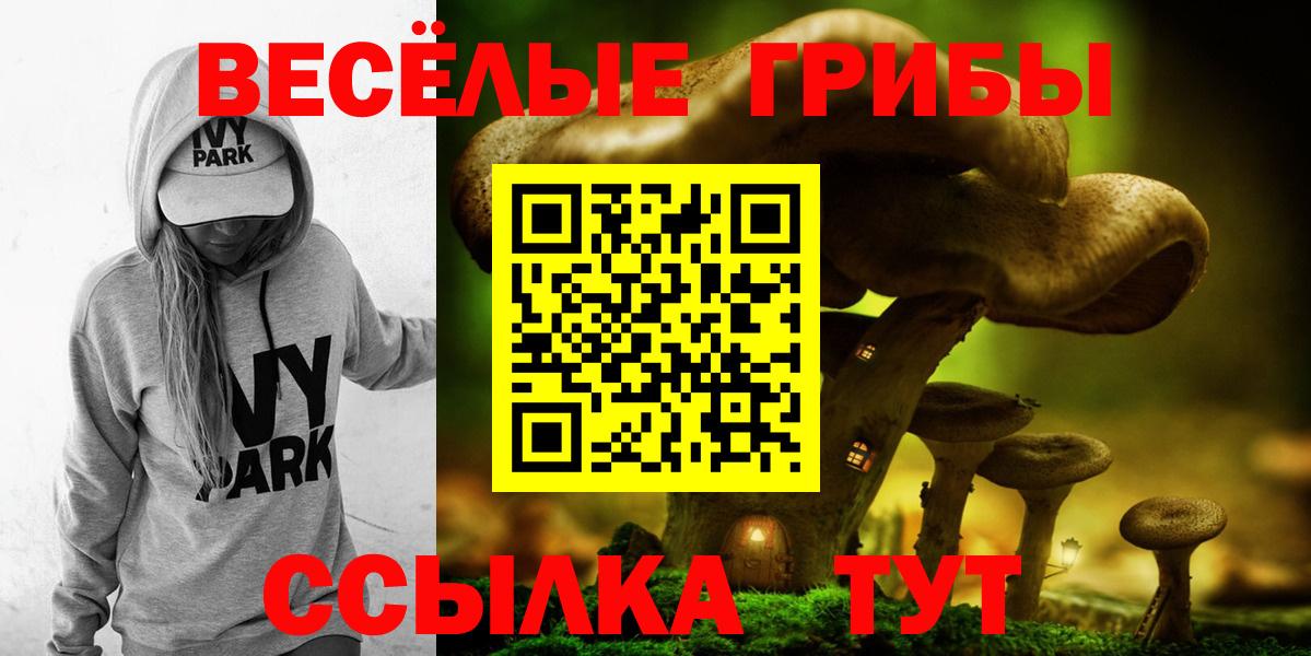 Ярцево  Галлюциногенные грибы прущие грибы  Вход с VPN 